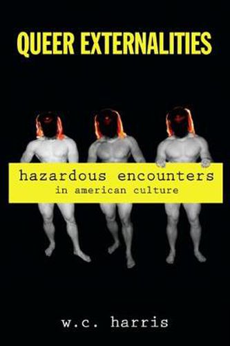 Queer Externalities: Hazardous Encounters in American Culture