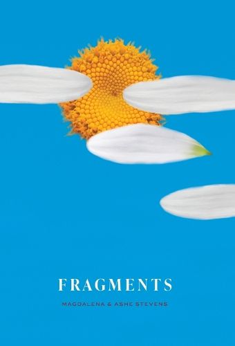 Cover image for Fragments