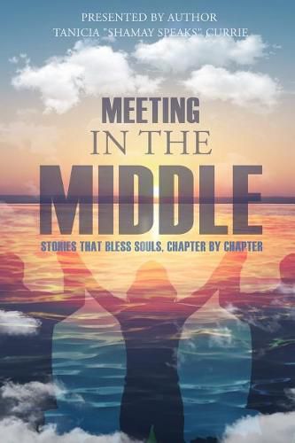 Cover image for Meeting in the Middle: Stories That Bless Souls, Chapter By Chapter