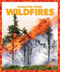 Cover image for Wildfires