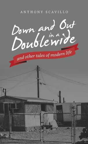 Cover image for Down and out in a Doublewide and Other Tales of Modern Life