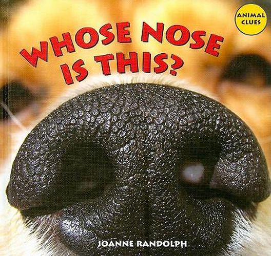 Cover image for Whose Nose Is This?