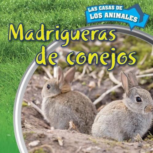 Cover image for Madrigueras de Conejos (Inside Rabbit Burrows)