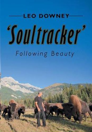 Cover image for 'Soultracker': Following Beauty