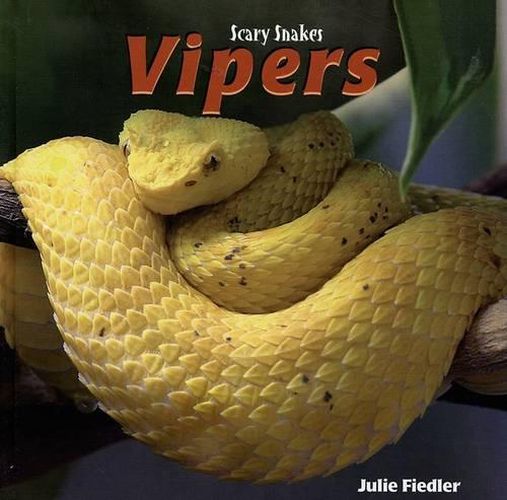 Cover image for Vipers