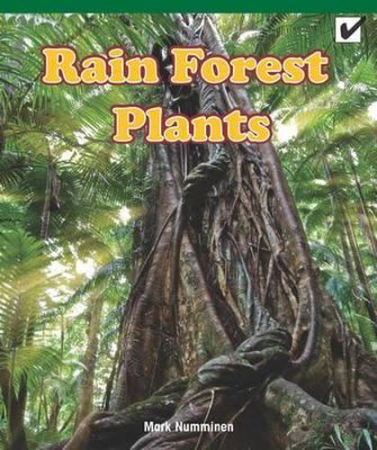 Cover image for Rain Forest Plants
