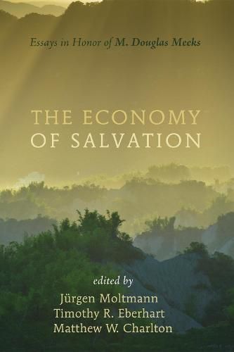 The Economy of Salvation: Essays in Honor of M. Douglas Meeks