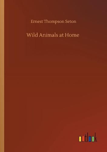 Cover image for Wild Animals at Home