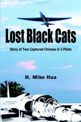 Cover image for Lost Black Cats