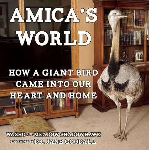 Cover image for Amica's World: How a Giant Bird Came into Our Heart and Home