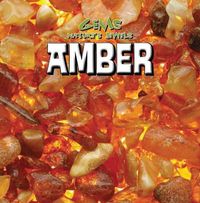 Cover image for Amber