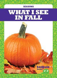 Cover image for What I See in Fall