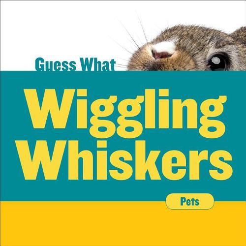 Cover image for Wiggling Whiskers: Rabbit