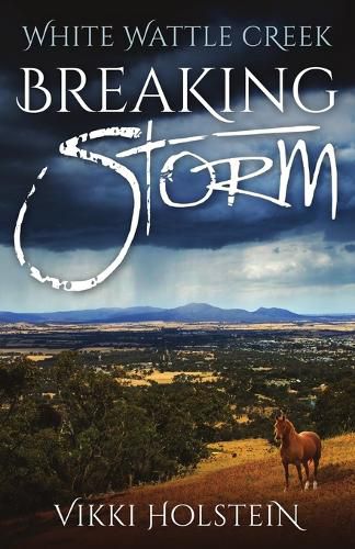 Cover image for Breaking Storm