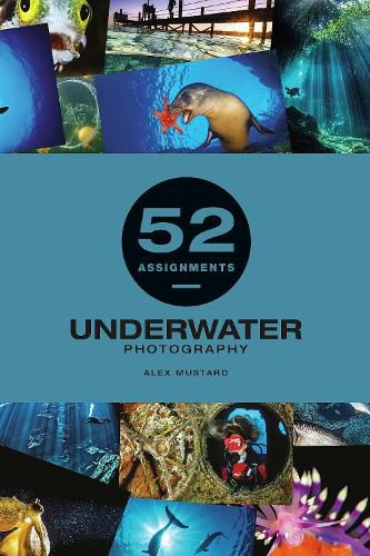 Cover image for 52 Assignments: Underwater Photography