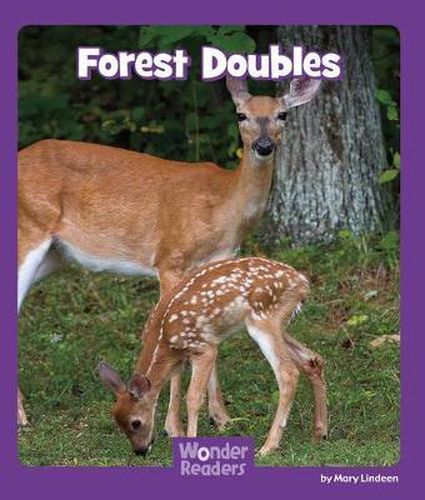 Cover image for Forest Doubles