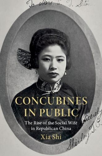 Cover image for Concubines in Public