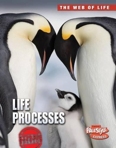 Cover image for Life Processes (the Web of Life)
