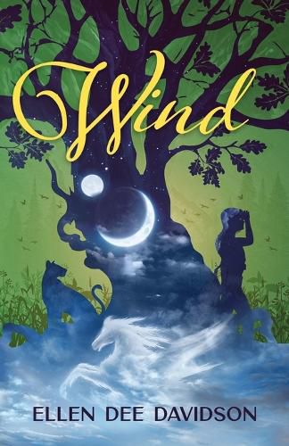 Cover image for Wind