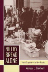 Cover image for Not by Bread Alone: Social Support in the New Russia