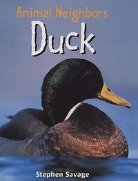 Cover image for Duck