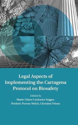 Cover image for Legal Aspects of Implementing the Cartagena Protocol on Biosafety