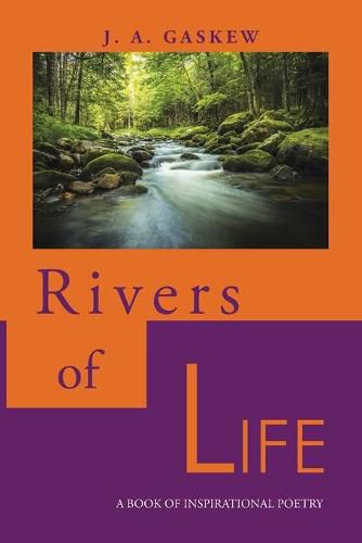 Cover image for Rivers of Life