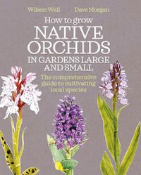 Cover image for How to Grow Native Orchids in Gardens Large and Small: The Comprehensive Guide to Cultivating Local Species