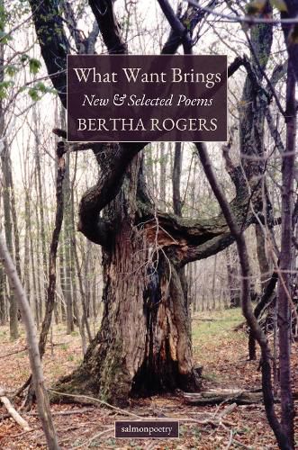 Cover image for What Want Brings