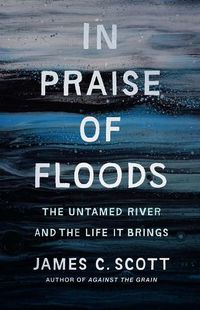 Cover image for In Praise of Floods