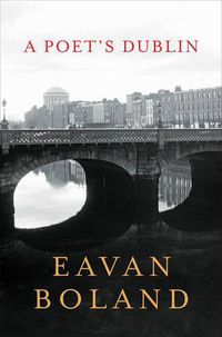 Cover image for A Poet's Dublin