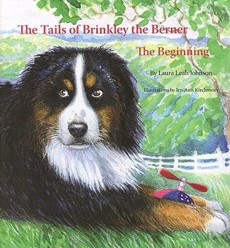 The Tails of Brinkley the Berner: Book One: The Beginning