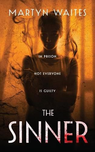 Cover image for The Sinner