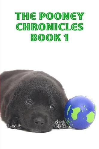 Cover image for The Pooney Chronicles Book 1