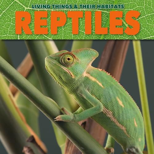 Cover image for Reptiles