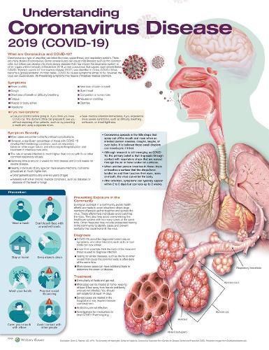 Cover image for Understanding Coronavirus Disease 2019 (COVID-19) Anatomical Chart