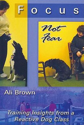 Cover image for Focus, Not Fear: Training Insights from a Reactive Dog Class