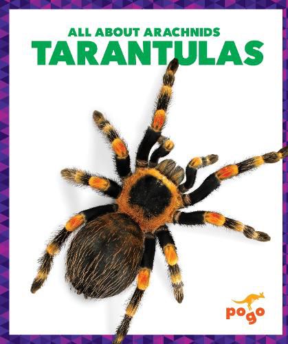 Cover image for Tarantulas