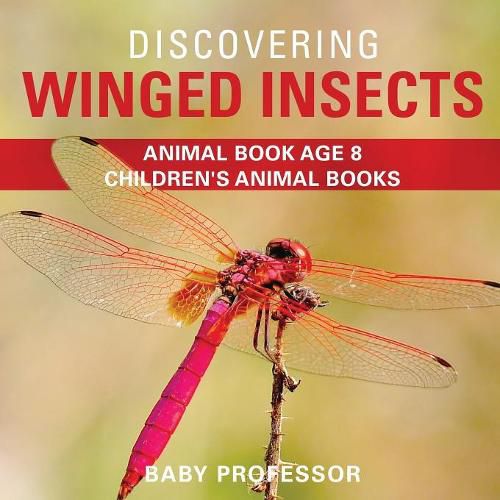 Cover image for Discovering Winged Insects - Animal Book Age 8 Children's Animal Books