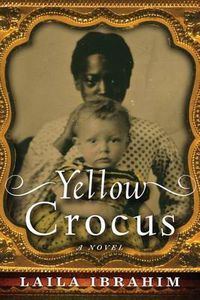 Cover image for Yellow Crocus