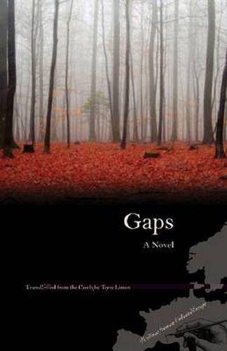 Gaps: A Novel