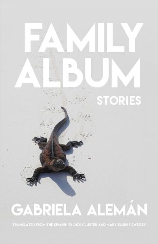 Cover image for Family Album: Stories