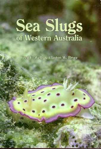 Cover image for Sea Slugs of Western Australia