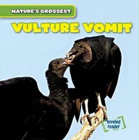 Cover image for Vulture Vomit