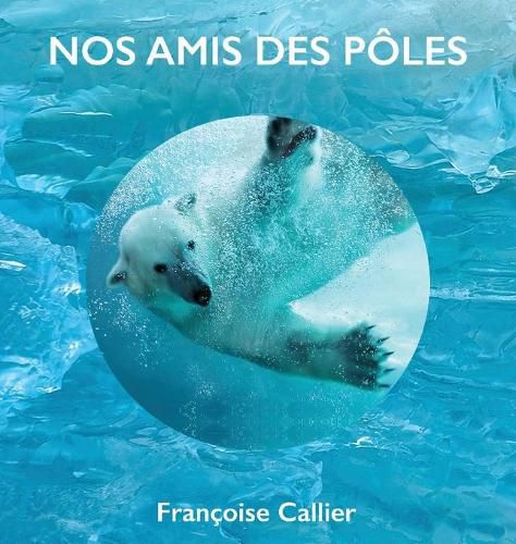 Cover image for NOS AMIS des POELES