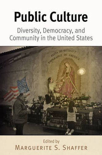 Cover image for Public Culture: Diversity, Democracy, and Community in the United States