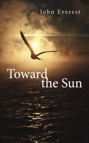 Cover image for Toward the Sun