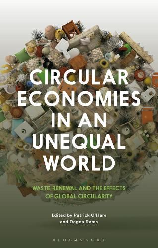 Cover image for Circular Economies in an Unequal World