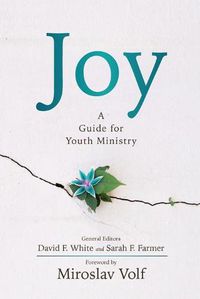 Cover image for Joy: A Guide for Youth Ministry