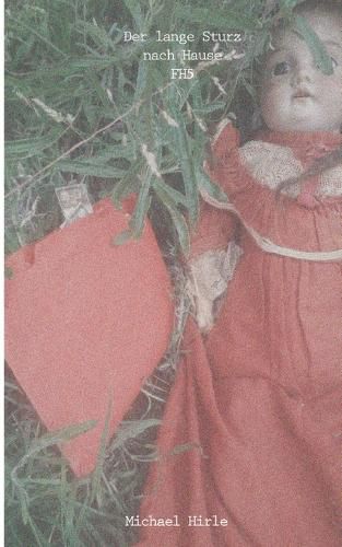 Cover image for Der lange Sturz nach Hause